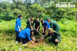 Đo&agrave;n Thanh ni&ecirc;n x&atilde; Mường L&aacute;t triển khai m&ocirc; h&igrave;nh 'H&agrave;ng c&acirc;y thanh ni&ecirc;n'
