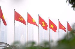 An Giang: Xử lý nghiêm tình trạng sử dụng sai mẫu cờ Đảng và biểu tượng Búa Liềm