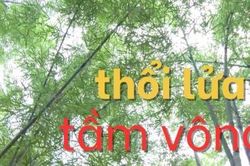 Thổi lửa tầm vông