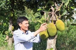 Tạo bệ đỡ cho kinh tế nông nghiệp, nông thôn