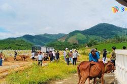 Trao sinh kế tiếp sức hộ nghèo