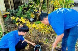 Đấu nối nước sạch cho 11 hộ khó khăn tại phường Hội An Tây