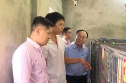 Hơn 2.000 người dân xã Thăng Trường được tiếp cận nguồn vốn chính sách, phát triển kinh tế