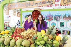 Mùa trái chín ở 'thủ phủ' cây ăn trái