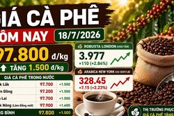 Gi&aacute; c&agrave; ph&ecirc; h&ocirc;m nay 18/7: Tăng trở lại l&ecirc;n 97.800 đồng/kg