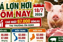 Giá lợn hơi hôm nay 18/7: Thị trường cả nước tạm chững