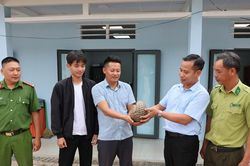 Xã Đam Rông 1 tiếp nhận, thả tê tê Java quý hiếm về rừng