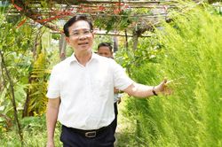 Chủ tịch UBND tỉnh Lâm Đồng Hồ Văn Mười khảo sát mô hình du lịch sinh thái tại Mũi Né