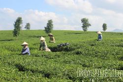 Miền xanh trù phú