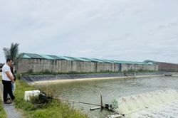 Nghề nuôi thủy sản và bài toán nguồn nước