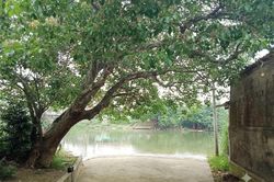 Nỗi nhớ tháng 7
