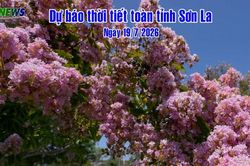 Dự báo thời tiết toàn tỉnh Sơn La ngày 19/7/2026
