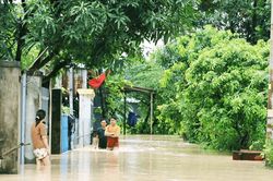 Quỹ Nông nghiệp và Môi trường TP. Đồng Nai đẩy mạnh công tác phòng chống thiên tai Chủ động phòng ngừa, ứng phó
