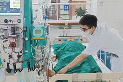 Ăn mật cá trắm để chữa bệnh, người đàn ông nguy kịch