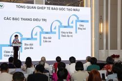 Tế bào gốc: Từ nghiên cứu lâm sàng đến ứng dụng thực tiễn