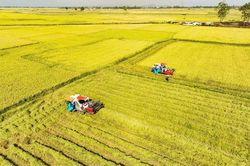 Chuyển động khởi sắc sau một năm vận hành xã Tây Hòa