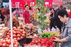Triển khai chương trình quốc gia về bảo vệ quyền lợi người tiêu dùng