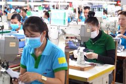 Trốn đ&oacute;ng bảo hiểm x&atilde; hội bắt buộc bị phạt tới 75 triệu đồng