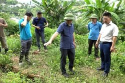 Kiểm tra khu vực sạt lở đất tại tổ Hòa Chung 1, phường Tân Giang