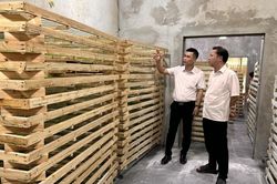 Liên minh HTX tỉnh khảo sát mô hình phát triển trồng dâu nuôi tằm tại xã Bảo Lạc và Cô Ba