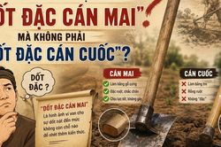 Vì sao người Việt nói 'dốt đặc cán mai' mà không phải 'dốt đặc cán cuốc'?