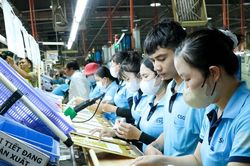 Hỗ trợ doanh nghiệp vượt 'hàng rào xanh' để mở rộng thị trường xuất khẩu