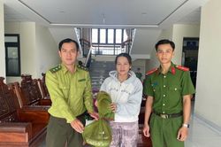 An Giang: Người dân chủ động giao nộp cá thể trăn hoang dã để thả về tự nhiên