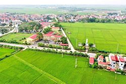 Xã Ứng Hòa: Tạo đột phá bằng nông nghiệp đa giá trị