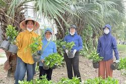 Từ điểm chân rác trở thành tuyến đường xanh