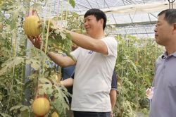 Phát minh của Trung Quốc gây sốc ngành rau quả: Tạo ra 'dưa hấu vũ trụ' có hương vị sữa, chocolate, thu về hơn 30.000 đơn đặt hàng