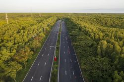 2 tuyến buýt miễn phí xuyên rừng ngập mặn đẹp ngoạn mục ở TP.HCM