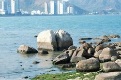 Khách vô tư bẻ san hô ở Hòn Chồng (Nha Trang)