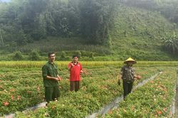 Phát triển đảng viên ở Thái Nguyên