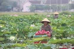 Tạo dựng niềm tin thị trường bằng cơ sở dữ liệu