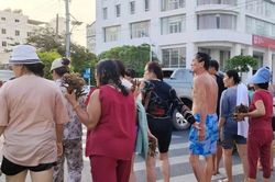 Khánh Hòa: Đã xác định nhóm du khách bẻ san hô ở vịnh Nha Trang