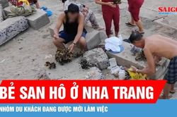 Khánh Hòa: Đã xác định nhóm du khách bẻ san hô ở vịnh Nha Trang