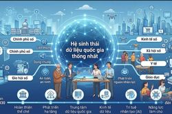 Hướng đến thực hiện triệt để nguyên tắc 'dữ liệu thay giấy tờ'