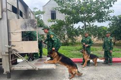 Trường Trung cấp 24 Biên phòng tăng cường lực lượng, khẩn trương tìm kiếm tại vị trí nghi có nạn nhân bị vùi lấp