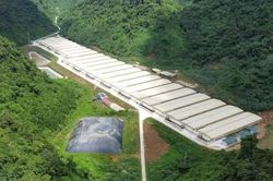 Ba người tử vong do tai nạn ở trang trại nuôi lợn tại Thanh Hóa