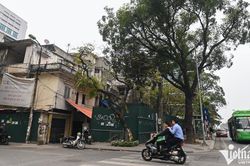 Phường Ngọc Hà sắp thu hồi 5ha đất; quy định mới về hợp thửa đất ở, đất vườn, ao