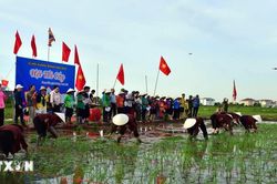 Quảng Ninh: Lễ hội Xuống đồng tôn vinh truyền thống khai hoang vùng Hà Nam