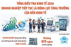 Tổng điều tra kinh tế 2026: Doanh nghiệp tiếp tục là động lực tăng trưởng của nền kinh tế