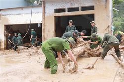 Thiên tai làm 13 người thương vong và gây thiệt hại nghiêm trọng tại các địa phương
