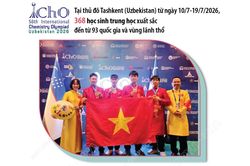 4 học sinh Việt Nam giành Huy chương Vàng Olympic Hóa học quốc tế năm 2026