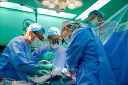 Cô gái hiến tạng hồi sinh nhiều cuộc đời