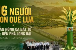 16 người con quê lúa - bản hùng ca bất tử bên bến phà Long Đại
