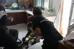 Vào phòng bếp, người phụ nữ bắt gặp cảnh tượng 'lạnh sống lưng' dưới bồn rửa bát