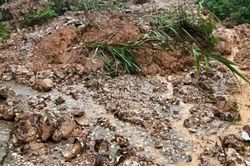 Dự báo thời tiết 19/7/2026: Bắc Bộ mưa to đến rất to, nhiều nơi nguy cơ lũ quét, sạt lở đất