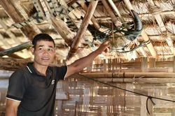 Một phong tục đặc biệt ở đại ngàn Quảng Ngãi