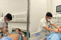 5 người tử vong, 8 nạn nhân cấp cứu vì khí độc ở trang trại lợn
